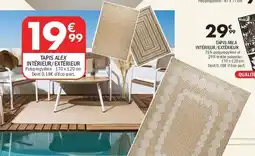 La Foir'Fouille Tapis alex intérieur extérieur offre