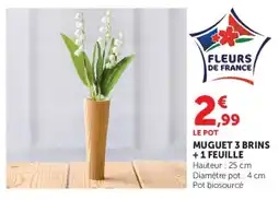 Super U MUGUET 3 BRINS +1 FEUILLE offre