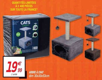Netto Arbre à chat offre