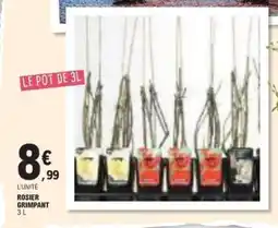 E.Leclerc Rosier grimpant offre