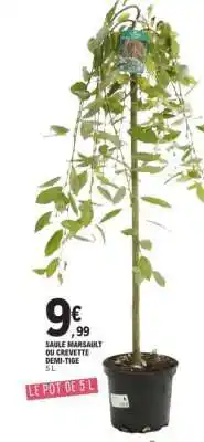 E.Leclerc SAULE MARSAULT OU CREVETTE DEMI-TIGE offre