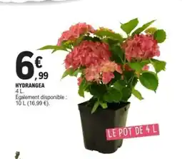 E.Leclerc HYDRANGEA offre