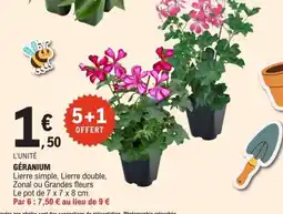 E.Leclerc Géranium offre