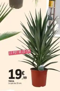 E.Leclerc YUCCA offre