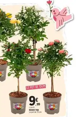 E.Leclerc ROSIER TIGE offre