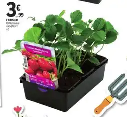 E.Leclerc Fraisier offre