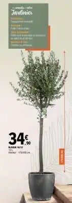 E.Leclerc OLIVIER 10/12 offre