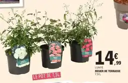 E.Leclerc ROSIER DE TERRASSE offre