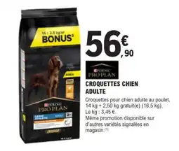 E.Leclerc Croquettes chien adulte offre
