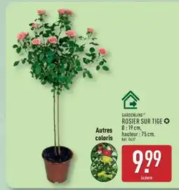 ALDI ROSIER SUR TIGE offre