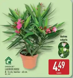 ALDI GARDENLINE LAURIER ROSE offre