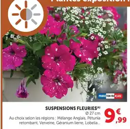 Hyper U Suspension fleuries offre