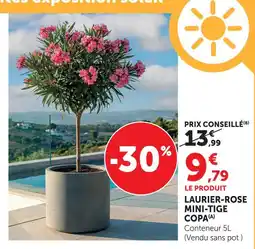 Hyper U Laurier-rose mini-tige copa offre