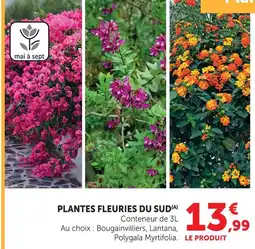 Hyper U Bougainvilliers offre