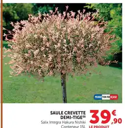 Hyper U Saule crevette demi-tige offre