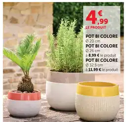 Hyper U Pot bi colore offre