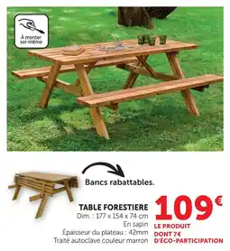 Hyper U Table forestière offre