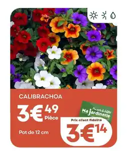 Ma Jardinerie Calibrachoa offre