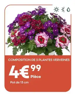 Ma Jardinerie Composition de 3 plantes verveines offre