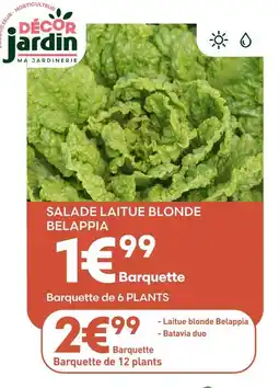 Ma Jardinerie Décor jardin salade laitue blonde belappia offre