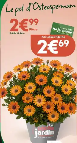 Ma Jardinerie Décor jardin pot d'osteospermum offre