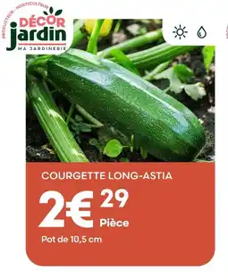 Ma Jardinerie Decor jardin courgette long-astia offre