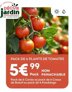 Ma Jardinerie Décor jardin pack de 6 plants de tomates cerise offre