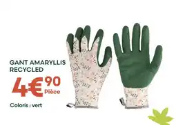 Ma Jardinerie Gant amaryllis recycled offre