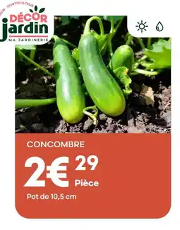 Ma Jardinerie Décor jardin concombre offre