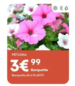 Ma Jardinerie Pétunia offre