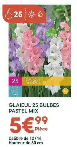 Ma Jardinerie Glaïeul 25 bulbes pastel mix offre