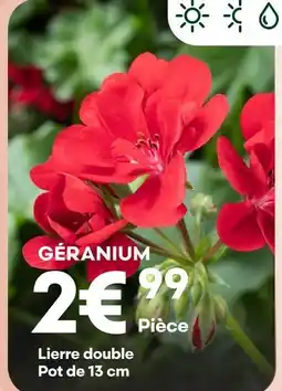 Ma Jardinerie Géranium offre
