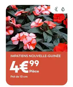Ma Jardinerie Impatiens nouvelle-guinée offre