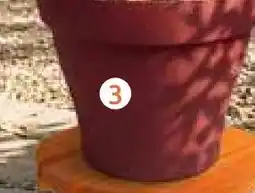 Rural Master Eda pot roméo offre