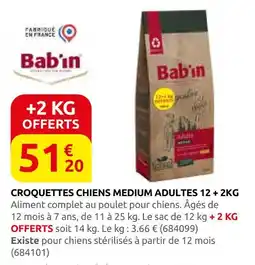 Rural Master Bab'in croquettes chiens medium adultes 12 + 2kg offre
