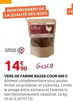 Rural Master Gasco vers de farine basse-cour offre