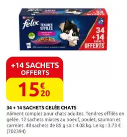 Rural Master Felix 34 + 14 sachets gelée chats offre