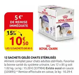 Rural Master Royal canin 12 sachets gelée chats stérilisés offre
