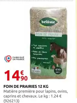 Rural Master Belavie foin de prairies 12 kg offre