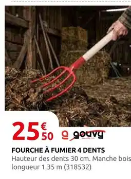 Rural Master Fourche à fumier 4 dents offre