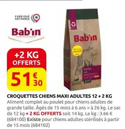 Rural Master Croquettes chiens maxi adultes 12 + 2 kg offre