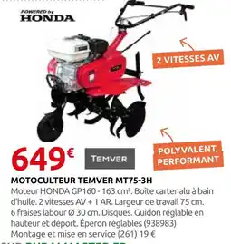 Rural Master Temver motoculteur mt75-3h offre