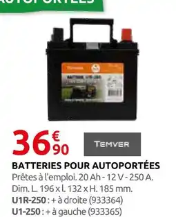 Rural Master Temver batterie pour autoportées u1r-250 offre