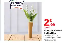 Super U Muguet 3 brins + 1 feuille offre