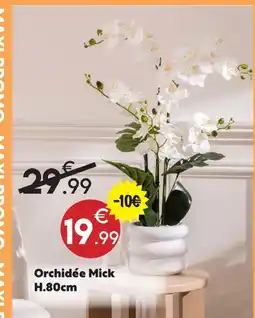Maxi Bazar Orchidée mick offre