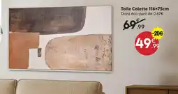 Maxi Bazar Toile colette offre