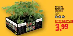 Lidl Barquette de tomates anciennes offre