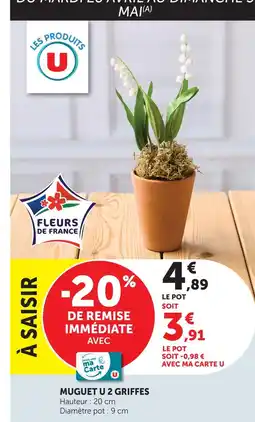 U Express U muguet u 2 griffes offre