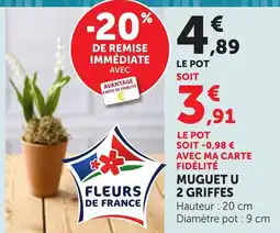 Maximarché Muguet u 2 griffes offre