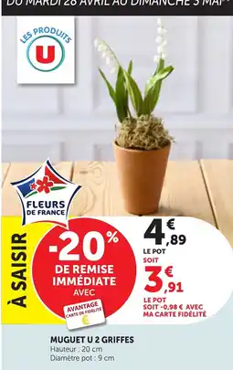 Maximarché Muguet u 2 griffes offre